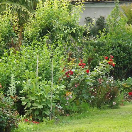 Damechouette Pujols (Lot-et-Garonne) Exterior foto