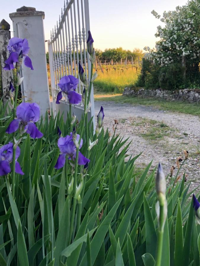 Damechouette Pujols (Lot-et-Garonne) Exterior foto