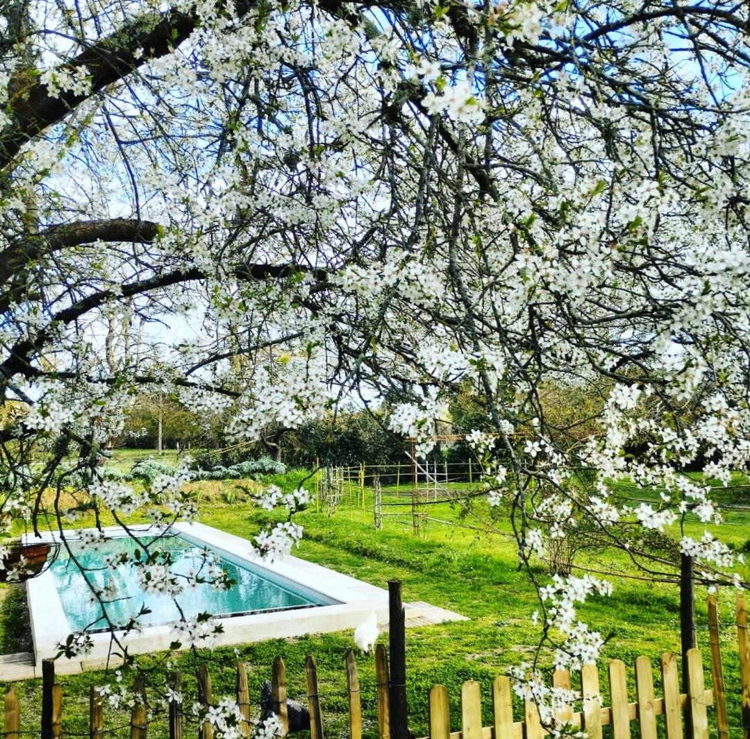 Damechouette Pujols (Lot-et-Garonne) Exterior foto