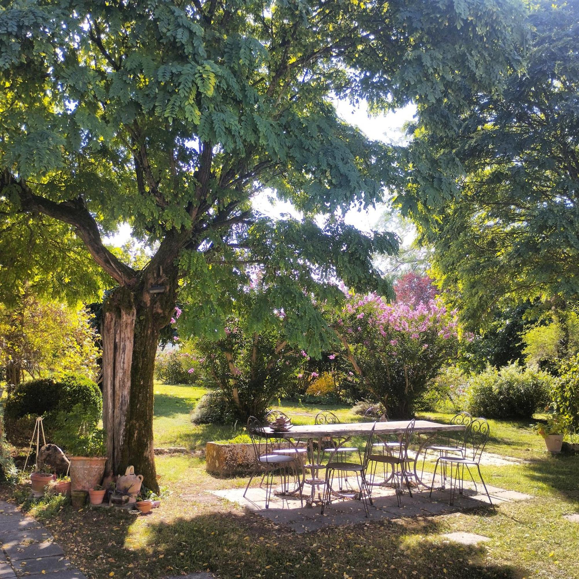 Damechouette Pujols (Lot-et-Garonne) Exterior foto