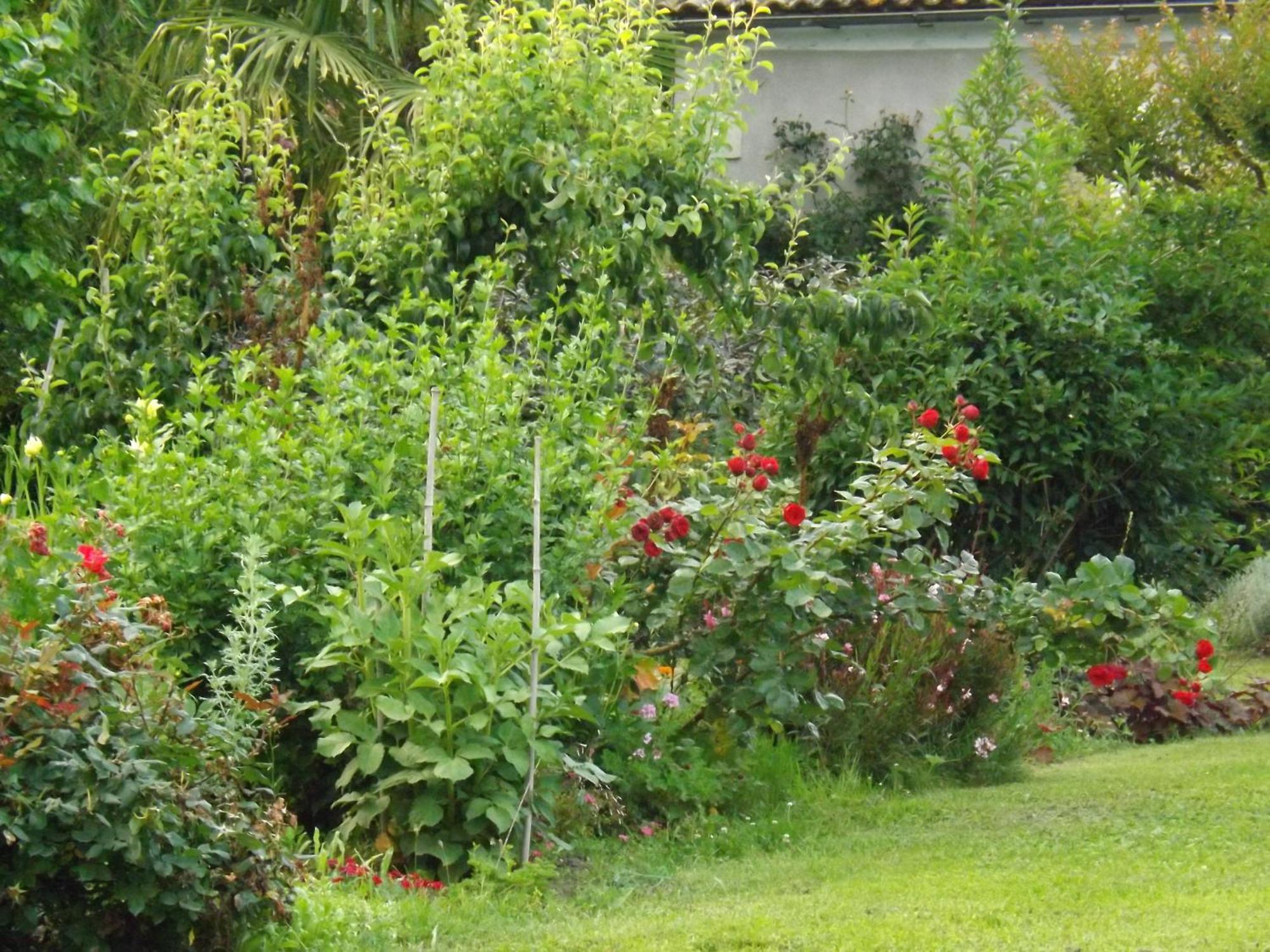 Damechouette Pujols (Lot-et-Garonne) Exterior foto